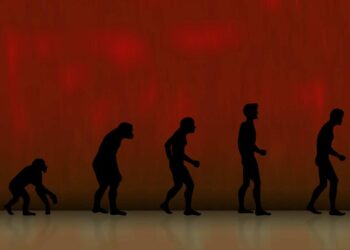 Due milioni di anni fa i bambini crescevano più in fretta: lo studio di Unifi-Ateneo di Toulouse