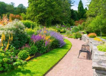 Canone Occidentale per il nuovo Percorso del Vermouth di Orto Botanico di Torino