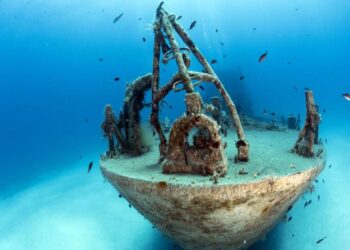 MyShot 2025: la fotografia subacquea che racconta il mare e il suo destino