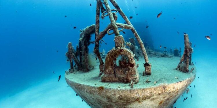 MyShot 2025: la fotografia subacquea che racconta il mare e il suo destino