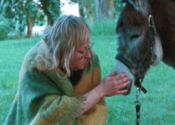 TFL TorinoFilmLab al Locarno Film Festival con 2 film in Concorso Internazionale e Fuori Concorso THE BIRTHDAY PARTY con Willem Dafoe