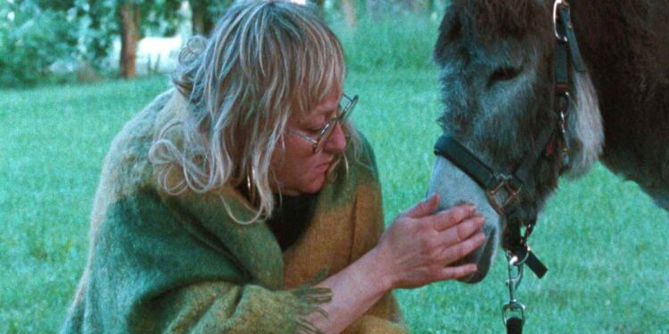 TFL TorinoFilmLab al Locarno Film Festival con 2 film in Concorso Internazionale e Fuori Concorso THE BIRTHDAY PARTY con Willem Dafoe