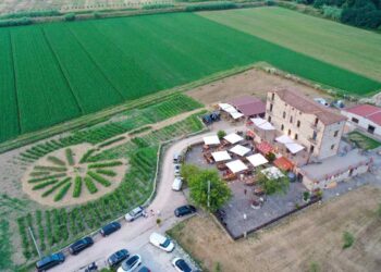 Fertilità e alimentazione: EcoFoodFertility presenta un modello educativo innovativo per la salute e l’ambiente