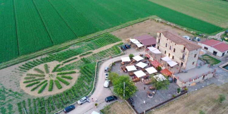 Fertilità e alimentazione: EcoFoodFertility presenta un modello educativo innovativo per la salute e l’ambiente