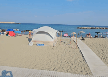 A FORIO NATE 19 TARTARUGHINE TRA LO STUPORE E LA GIOIA DI CENTINAIA DI BAGNANTI