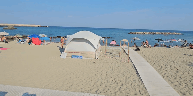 A FORIO NATE 19 TARTARUGHINE TRA LO STUPORE E LA GIOIA DI CENTINAIA DI BAGNANTI