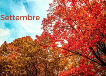 Arriva settembre: si torna a scuola e lavoro. Ecco come prepararsi