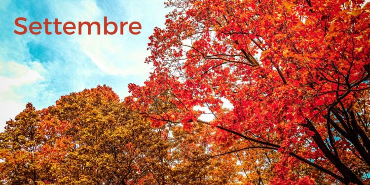 Arriva settembre: si torna a scuola e lavoro. Ecco come prepararsi