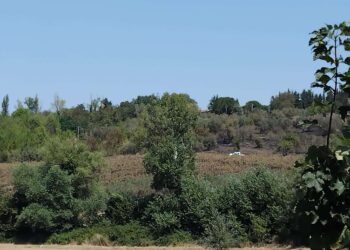 Incendio a Venticano, in corso bonifica da parte della provincia e dei vigili del fuoco