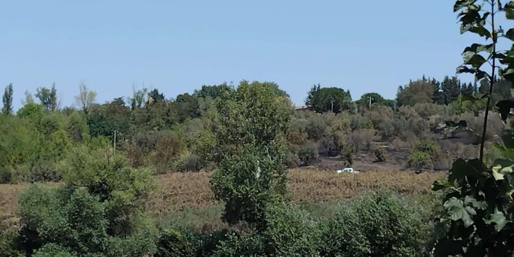 Incendio a Venticano, in corso bonifica da parte della provincia e dei vigili del fuoco