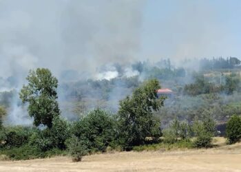 Incendio a Venticano: I vigili del fuoco intervengono per contenere le fiamme