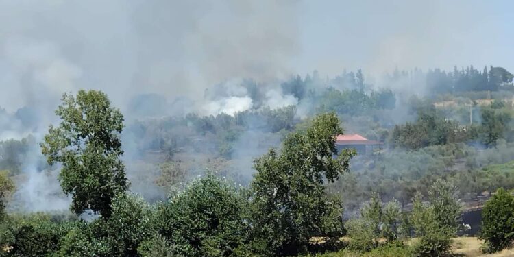 Incendio a Venticano: I vigili del fuoco intervengono per contenere le fiamme
