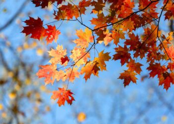 L’autunno meteorologico inizia il 1° settembre: un’analisi delle tendenze climatiche