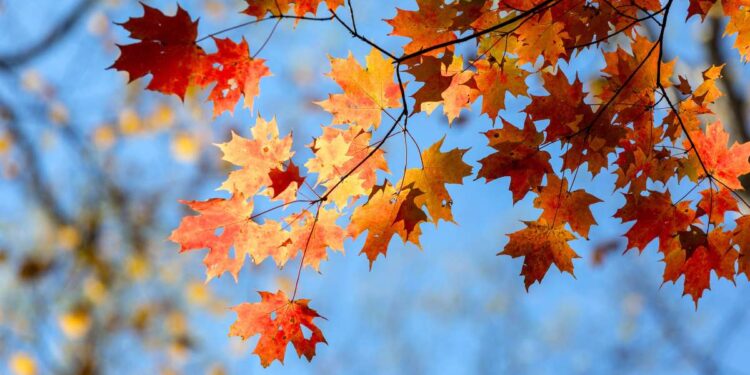 L’autunno meteorologico inizia il 1° settembre: un’analisi delle tendenze climatiche