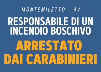 Piantedosi:  Arrestato piromane a Montemiletto, “Rischia fino a 15 anni di carcere”