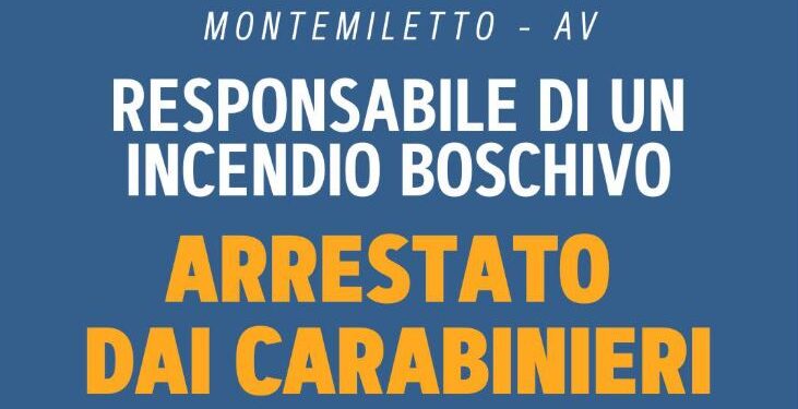 Piantedosi:  Arrestato piromane a Montemiletto, “Rischia fino a 15 anni di carcere”