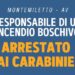 Piantedosi:  Arrestato piromane a Montemiletto, “Rischia fino a 15 anni di carcere”