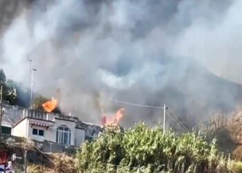 ISCHIA, INCENDIO DEVASTA COLLINE DI SUCCHIVO E SANT’ANGELO: SI INDAGA SULLE CAUSE