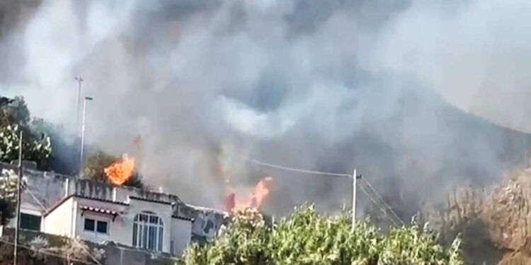 ISCHIA, INCENDIO DEVASTA COLLINE DI SUCCHIVO E SANT’ANGELO: SI INDAGA SULLE CAUSE