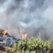 ISCHIA, INCENDIO DEVASTA COLLINE DI SUCCHIVO E SANT’ANGELO: SI INDAGA SULLE CAUSE