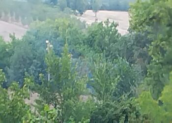 Altro incendio a Venticano: continuano a bruciare le campagne