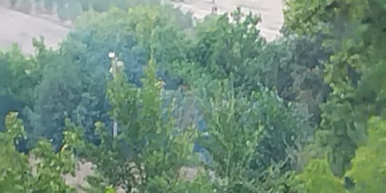 Altro incendio a Venticano: continuano a bruciare le campagne