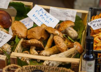 Borgotaro chiude la 50esima edizione della Fiera del Fungo Porcino IGP con oltre 60.000 presenze in due weekend