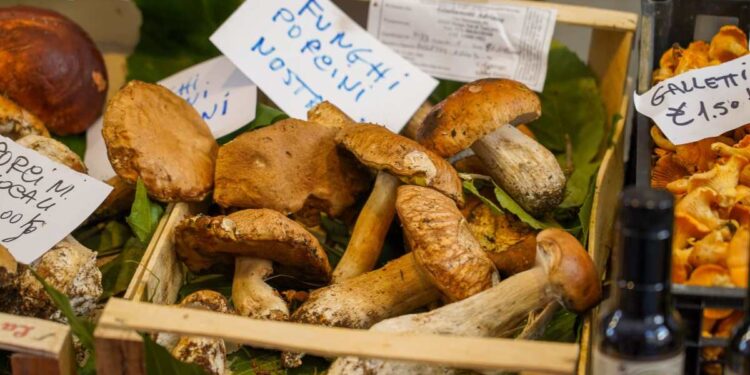 Borgotaro chiude la 50esima edizione della Fiera del Fungo Porcino IGP con oltre 60.000 presenze in due weekend