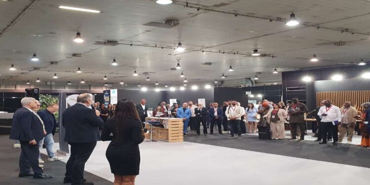 Dagli arredi per hotel e ville in Africa alle sculture in perle