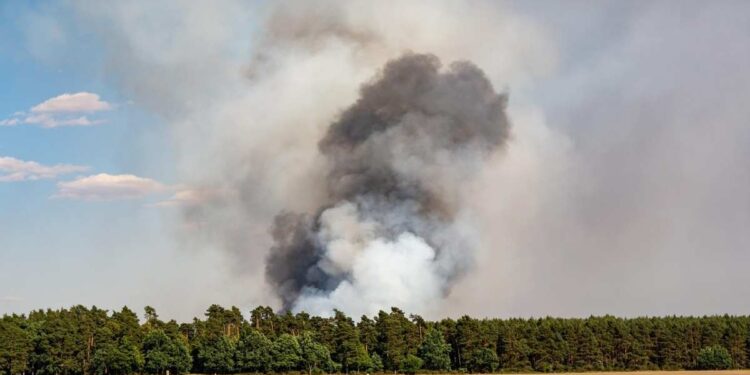 Pianodardine, incendio nella zona industriale: si temono conseguenze per la nube nera