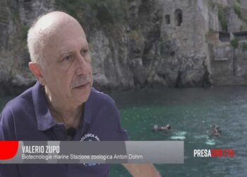 “TERRA ULTIMA CHIAMATA” – PRESADIRETTA DOMENICA 12 OTTOBRE ORE 20:30 RAI 3 / ISCHIA