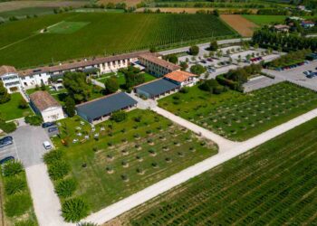 Vini Fossa Mala, la società Kanada SpA cede Cantina RR a Cantina Rauscedo: «Una partnership per crescere e valorizzare le nostre eccellenze»