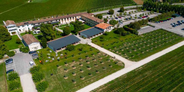 Vini Fossa Mala, la società Kanada SpA cede Cantina RR a Cantina Rauscedo: «Una partnership per crescere e valorizzare le nostre eccellenze»