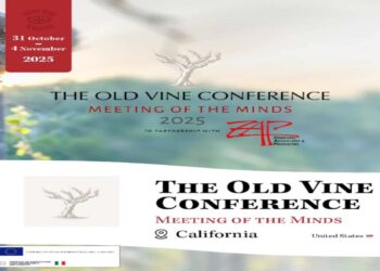 VINCHIO VAGLIO CON IL PROGETTO VIGNE VECCHIE & THE OLD VINE CONFERENCE