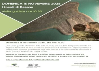 16 NOVEMBRE: IL MUSEO DEI FOSSILI DI BESANO CHIUDE PER RIALLESTIMENTO CON UNA VISITA G
