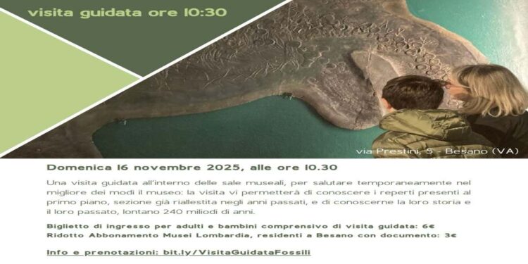 16 NOVEMBRE: IL MUSEO DEI FOSSILI DI BESANO CHIUDE PER RIALLESTIMENTO CON UNA VISITA G