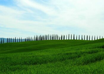 In Toscana per un tour enogastronomico insolito