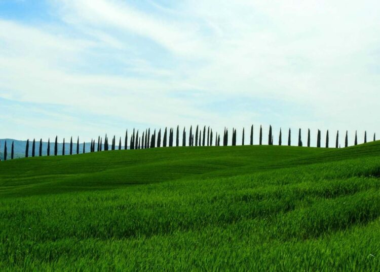 In Toscana per un tour enogastronomico insolito