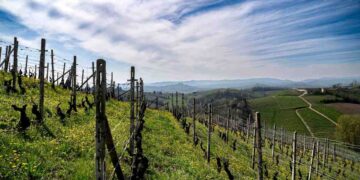 Per Vinchio Vaglio il 2025 è stato un anno di risultati positivi: bilancio in attivo, scorte azzerate, consolidamento dell’immagine aziendale