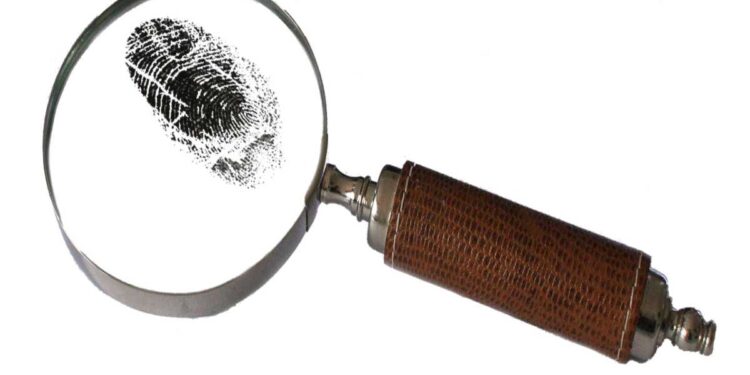 Investigazioni private in Trentino: verità, discrezione e tutela concreta