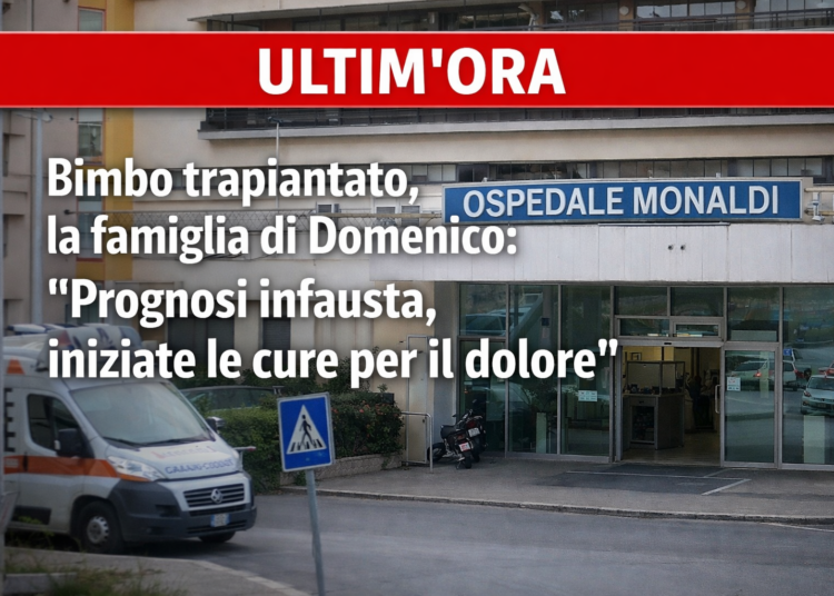 Bimbo trapiantato, la famiglia di Domenico: «Prognosi infausta, iniziate le cure per il dolore»