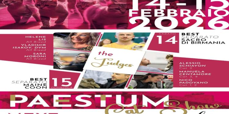 A PAESTUM inaugurata l’Esposizione Internazionale Felina “PAESTUM CAT SHOW” special Love Edition. Da Romeo e Giulietta a Paolo e Francesca: i premi ispirati alle coppie di innamorati