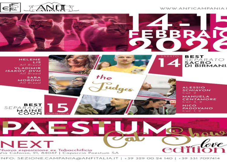 A PAESTUM inaugurata l’Esposizione Internazionale Felina “PAESTUM CAT SHOW” special Love Edition. Da Romeo e Giulietta a Paolo e Francesca: i premi ispirati alle coppie di innamorati