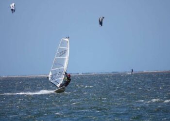 Come scegliere un software per scuole di sport acquatici davvero adatto alle proprie esigenze