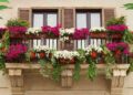 Come abbellire i balconi di casa: idee e consigli pratici