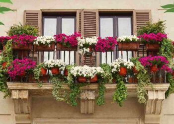 Come abbellire i balconi di casa: idee e consigli pratici