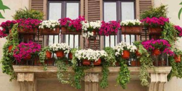 Come abbellire i balconi di casa: idee e consigli pratici