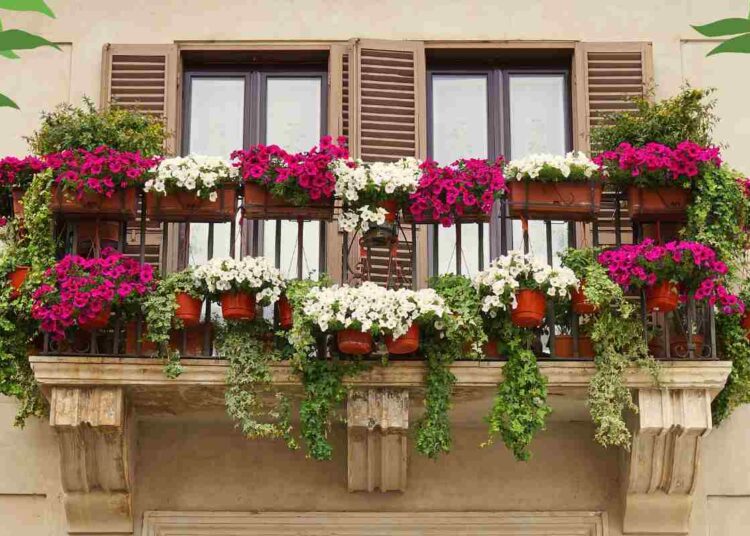 Come abbellire i balconi di casa: idee e consigli pratici