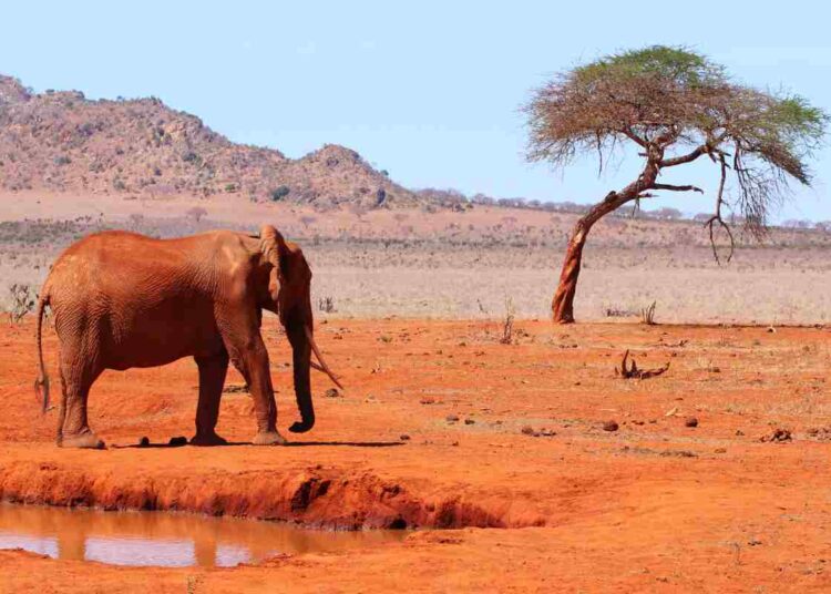 Tour nel mondo: itinerari avventurosi tra natura e città iconiche