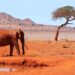Tour nel mondo: itinerari avventurosi tra natura e città iconiche